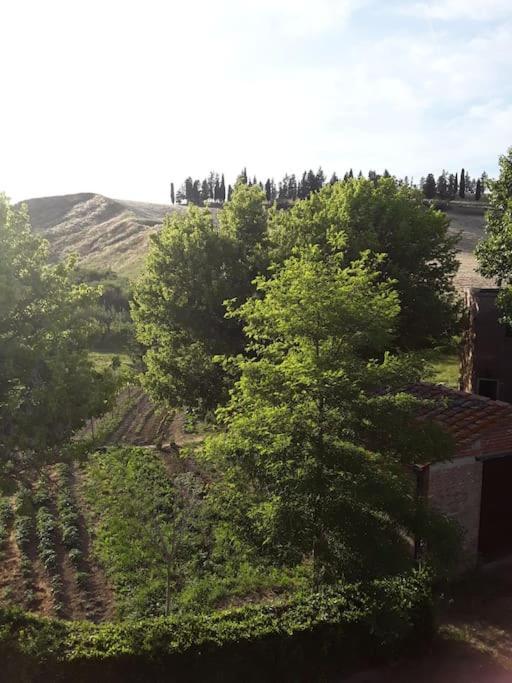 Agriturismo Podere Molino Peccioli Exterior foto